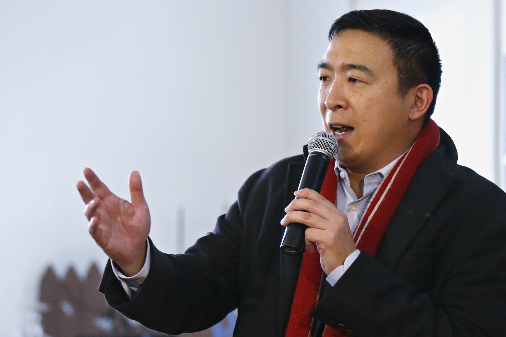Technology executive Andrew Yang